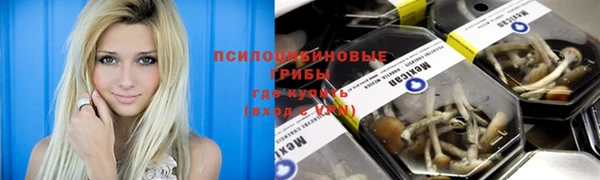 ECSTASY Лихославль
