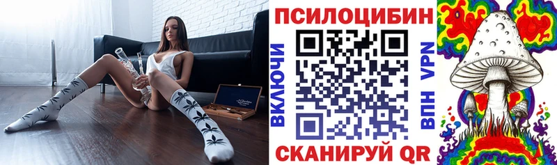 как найти наркотики  площадка как зайти  Галлюциногенные грибы MAGIC MUSHROOMS  Ярцево 