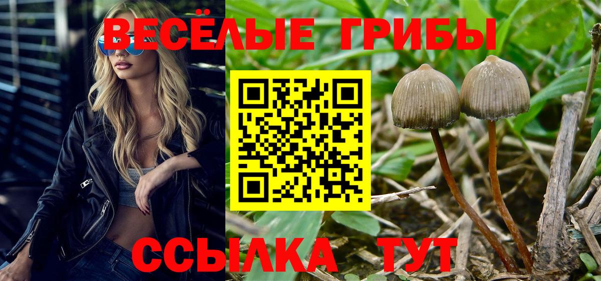 Псилоцибиновые грибы мухоморы  Вход с VPN  Ярцево 